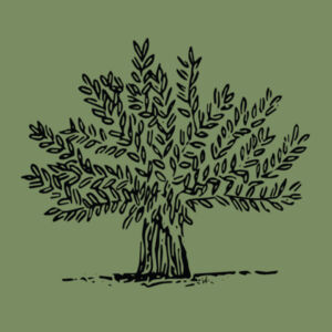 Olive Tree - AS Colour Women's Mali Capped Sleeve Tee Design